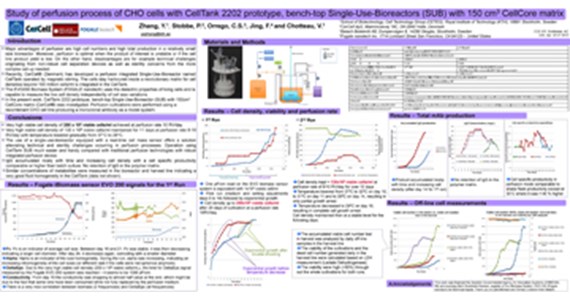 CCE conference Arizona poster 2012.jpg