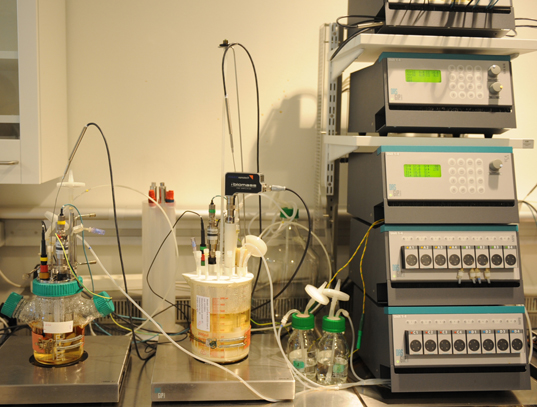 Glycomics perfusion SUB cultivation